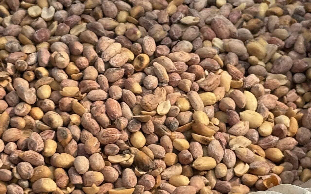 Raw groundnuts