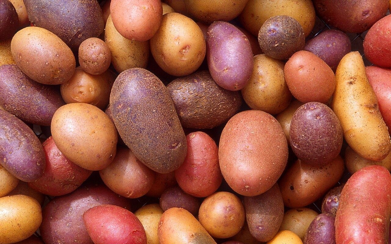 Potatoes