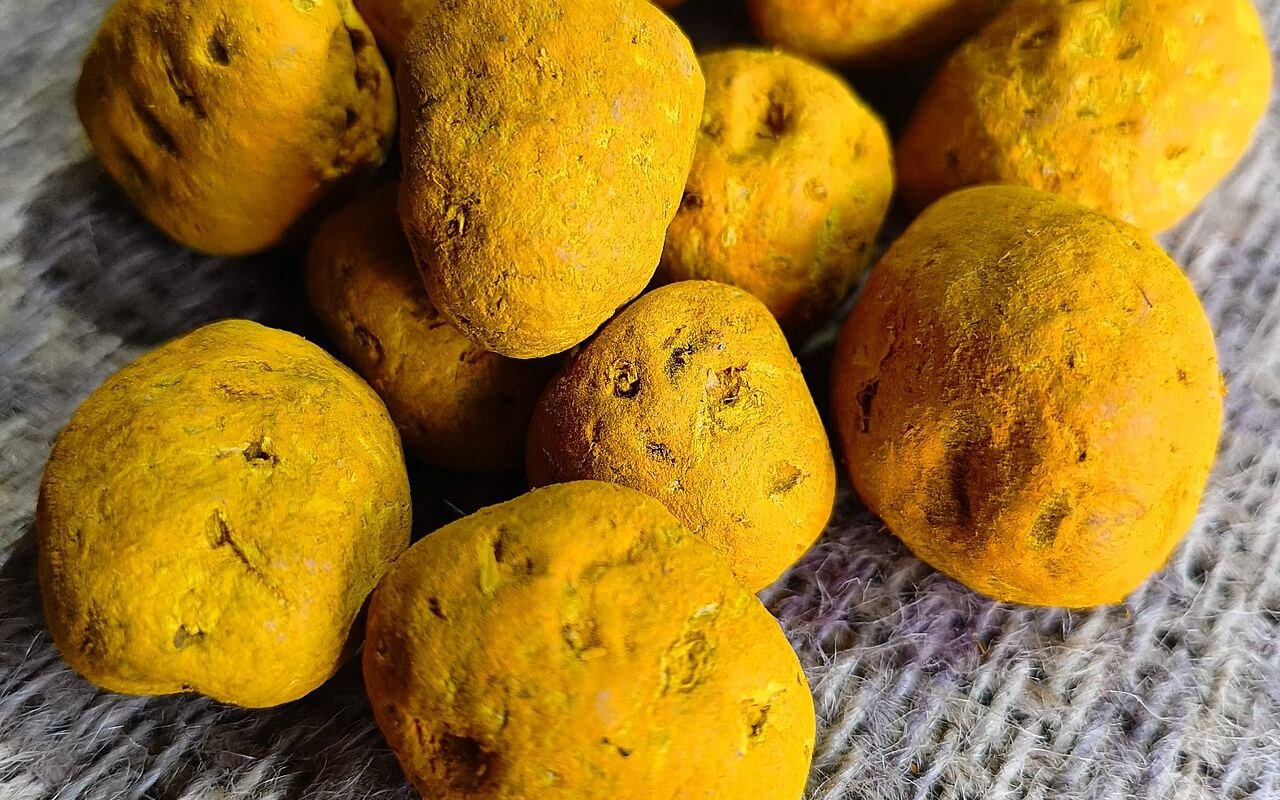 Whole turmeric bulbs